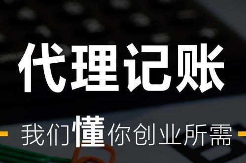 会计们最关心的报税问题 三